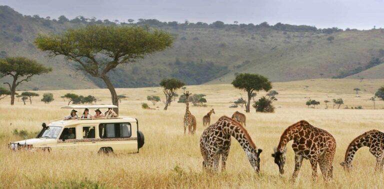 Uganda: 7 Things You Must Know Before You Go