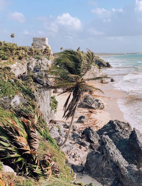 The 8 Coolest Things to Do in Downtown Cancun Right Now